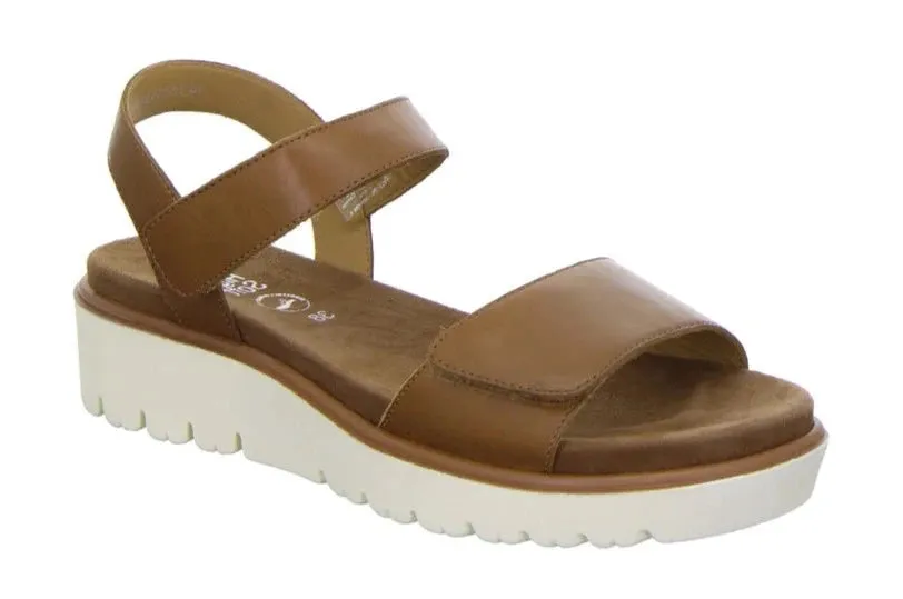 Ara 12-33518-09 Cognac