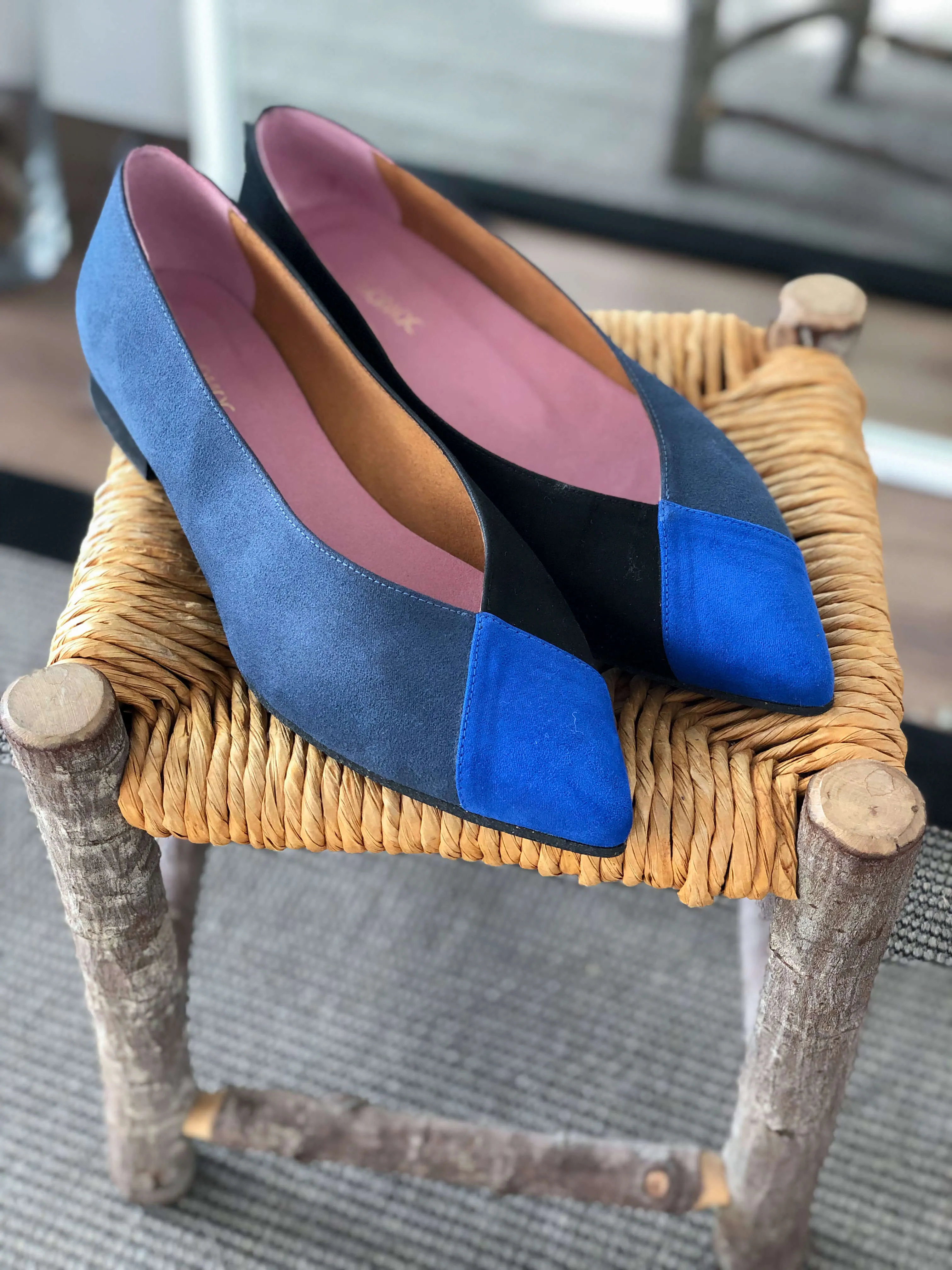 Toucan Bleu