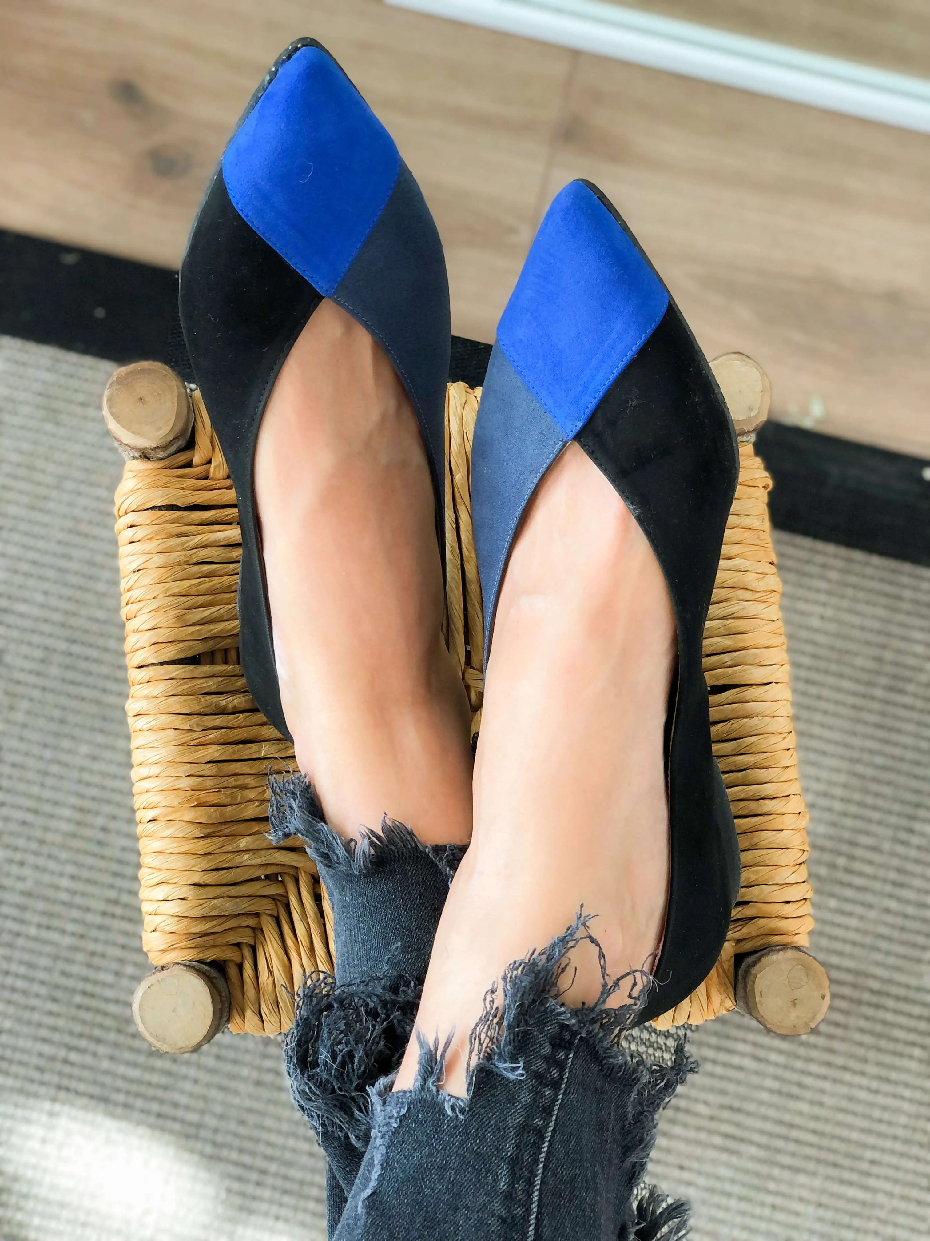 Toucan Bleu