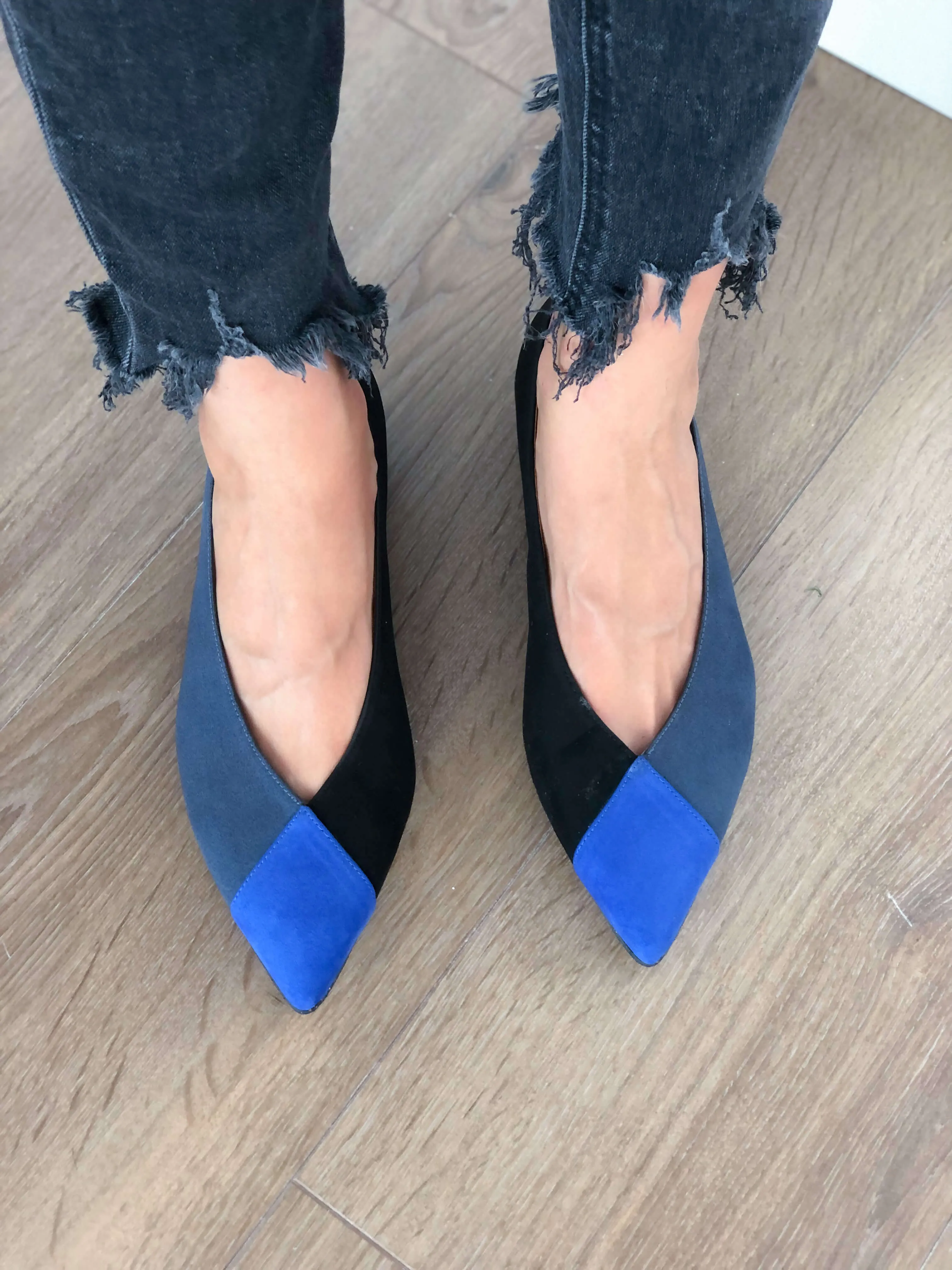 Toucan Bleu